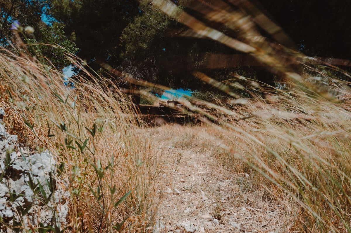 Summer Secrets: The Baths of Helen of Troy — gallery image